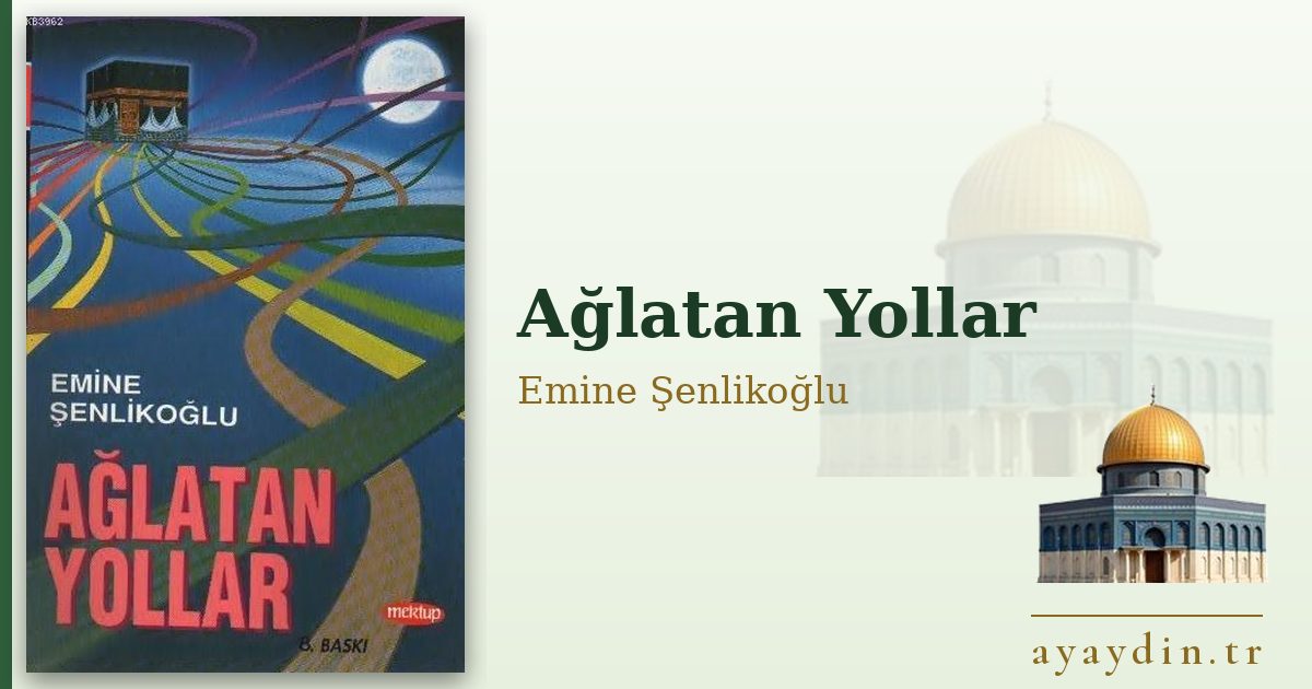 Ağlatan Yollar - Emine Şenlikoğlu kitap alıntıları ve sözleri