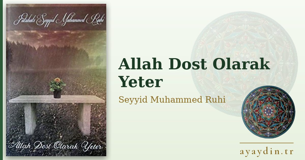 Allah Dost Olarak Yeter - Seyyid Muhammed Ruhi kitap alıntıları ve sözleri