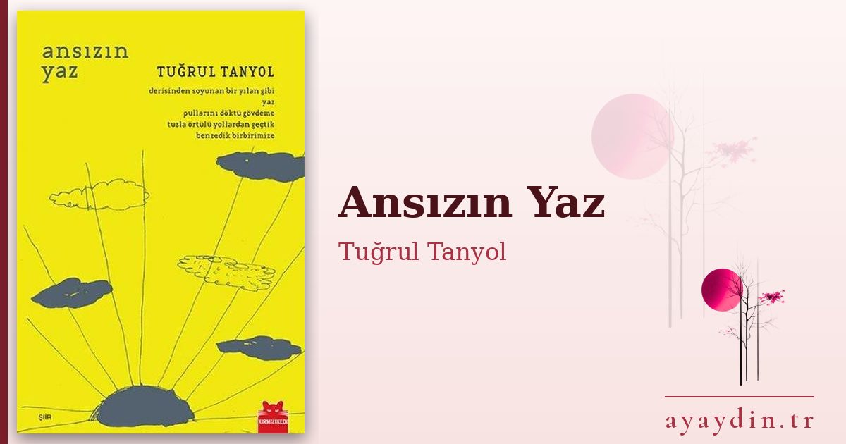Ansızın Yaz - Tuğrul Tanyol kitap alıntıları ve sözleri