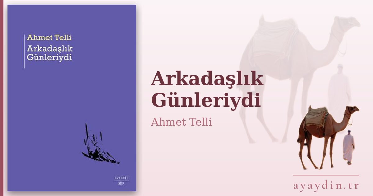 Arkadaşlık Günleriydi - Ahmet Telli kitap alıntıları ve sözleri
