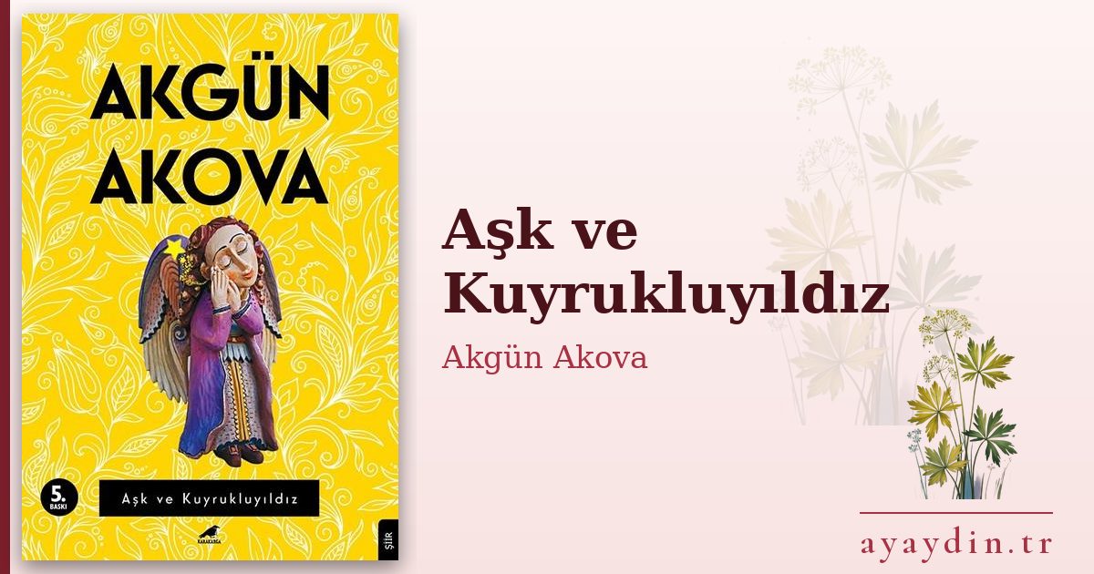 Aşk ve Kuyrukluyıldız - Akgün Akova kitap alıntıları ve sözleri