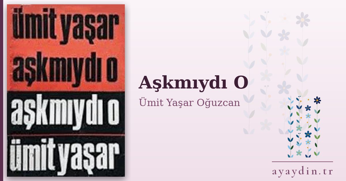 Aşkmıydı O - Ümit Yaşar Oğuzcan kitap alıntıları ve sözleri