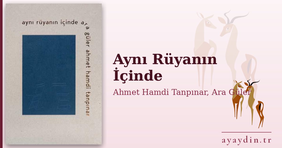 Aynı Rüyanın İçinde - Ahmet Hamdi Tanpınar, Ara Güler kitap alıntıları ve sözleri