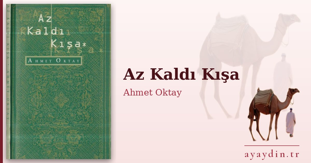 Az Kaldı Kışa - Ahmet Oktay kitap alıntıları ve sözleri