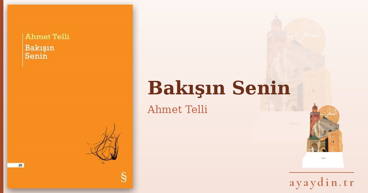 Bakışın Senin - Ahmet Telli kitap alıntıları ve sözleri