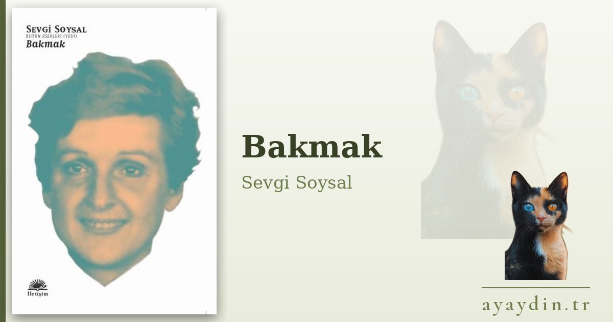 Bakmak - Sevgi Soysal kitap alıntıları ve sözleri
