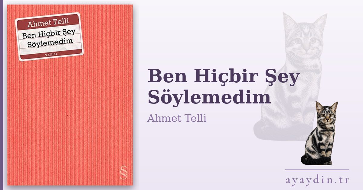 Ben Hiçbir Şey Söylemedim - Ahmet Telli kitap alıntıları ve sözleri