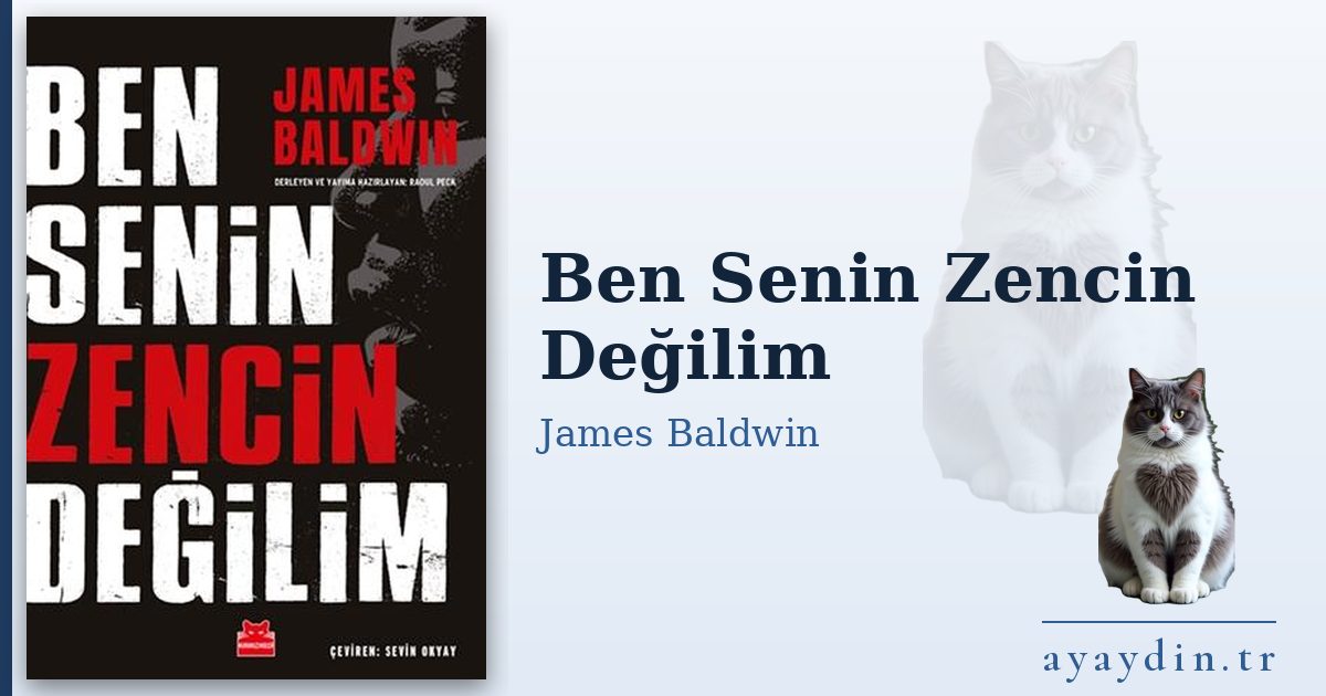 Ben Senin Zencin Değilim - James Baldwin kitap alıntıları ve sözleri