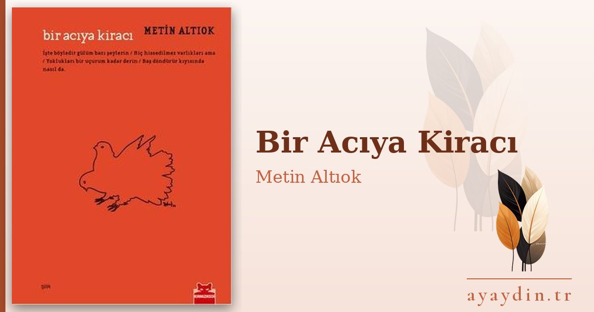 Bir Acıya Kiracı - Metin Altıok kitap alıntıları ve sözleri