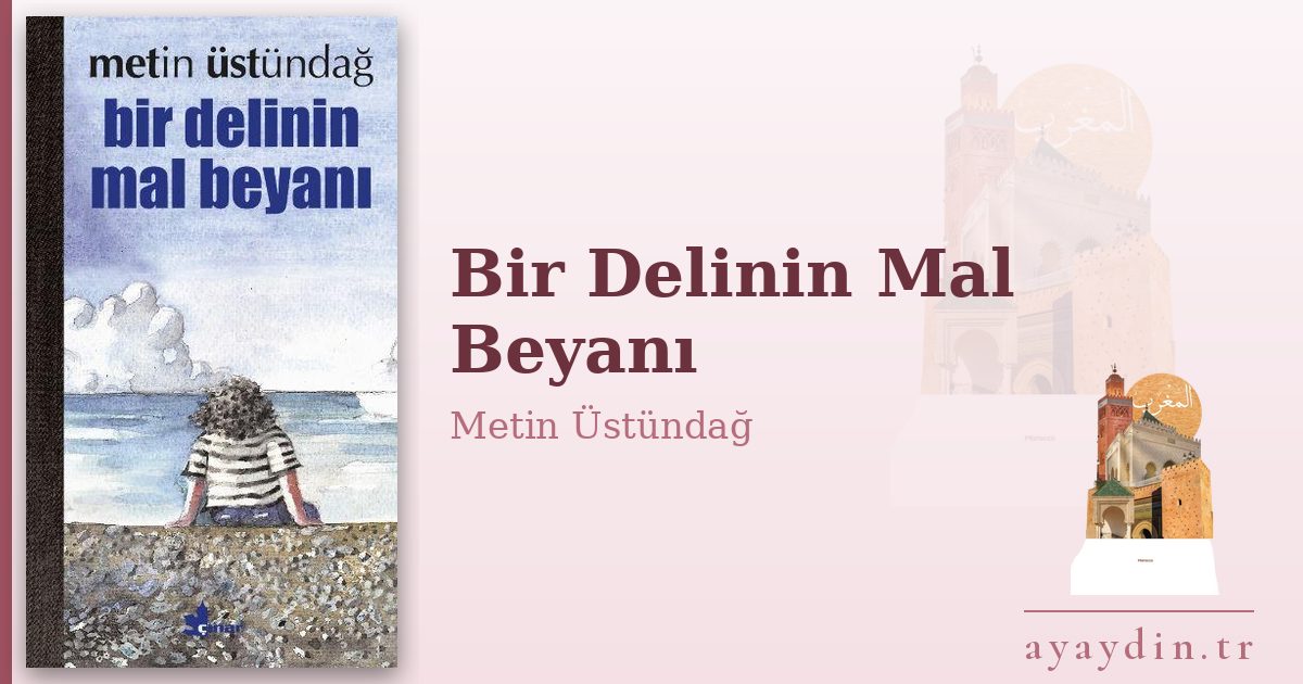 Bir Delinin Mal Beyanı - Metin Üstündağ kitap alıntıları ve sözleri
