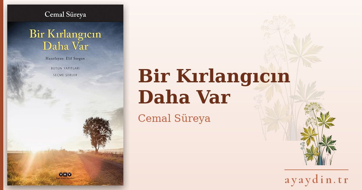 Bir Kırlangıcın Daha Var - Cemal Süreya kitap alıntıları ve sözleri