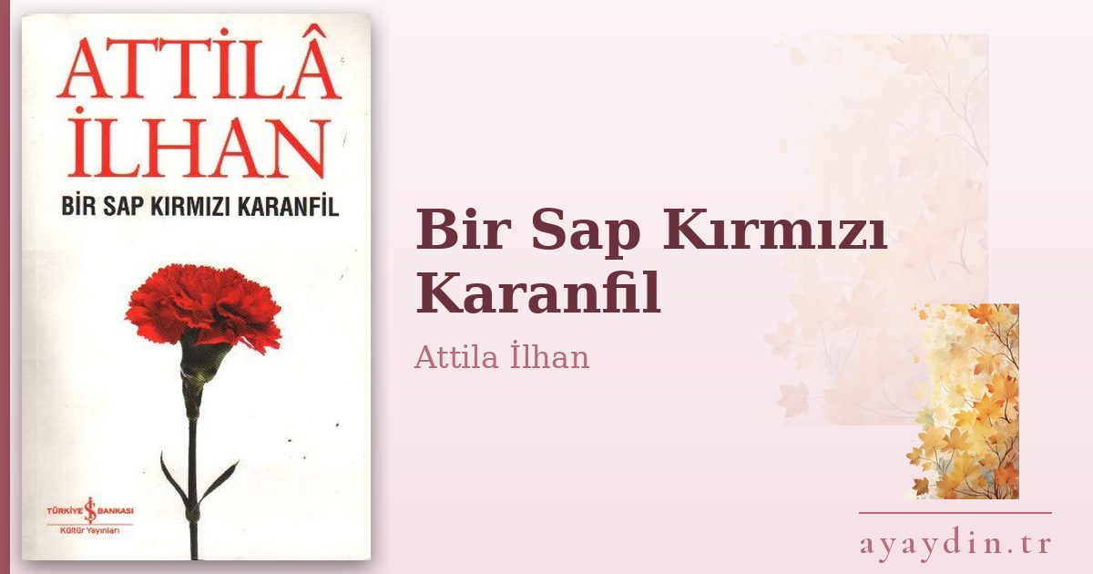 Bir Sap Kırmızı Karanfil - Attila İlhan kitap alıntıları ve sözleri