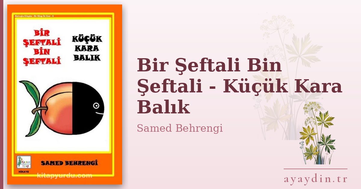 Bir Şeftali Bin Şeftali - Küçük Kara Balık - Samed Behrengi kitap alıntıları ve sözleri