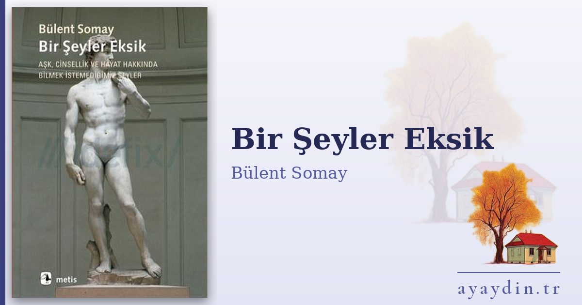 Bir Şeyler Eksik - Bülent Somay kitap alıntıları ve sözleri