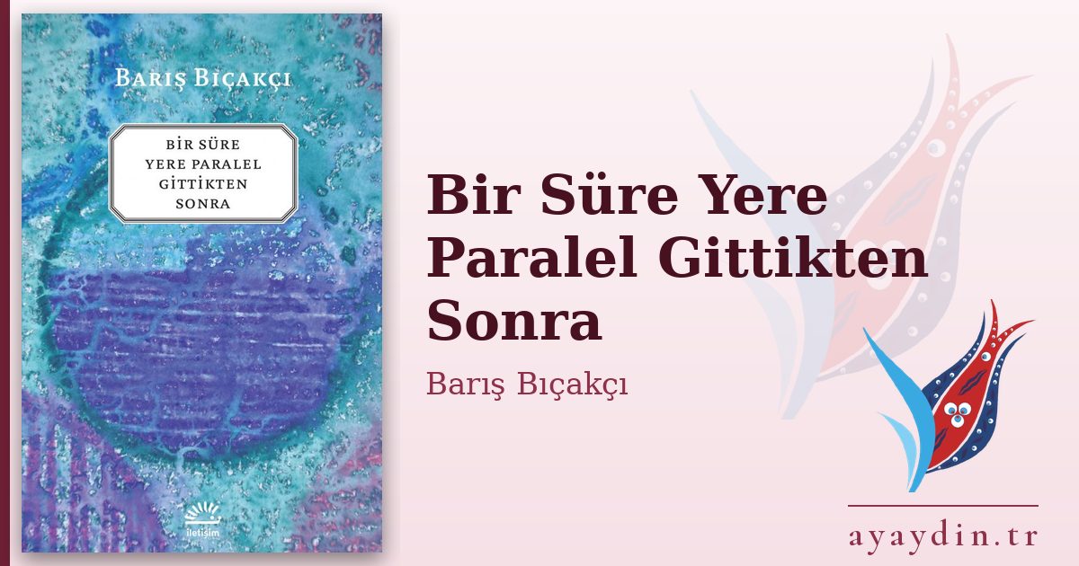 Bir Süre Yere Paralel Gittikten Sonra - Barış Bıçakçı kitap alıntıları ve sözleri