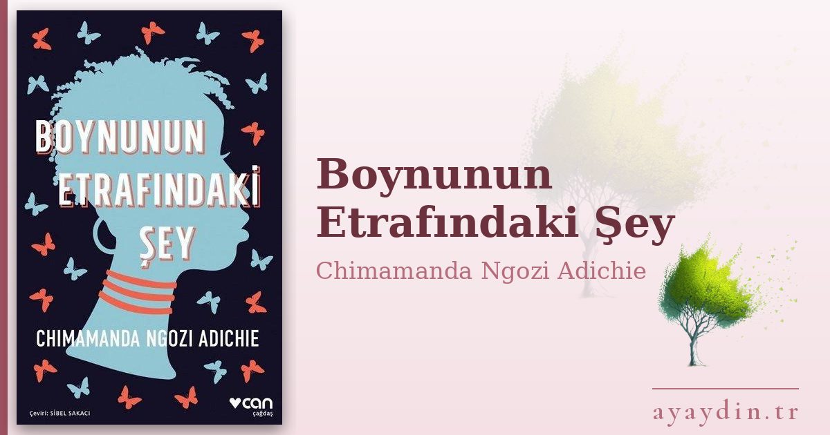 Boynunun Etrafındaki Şey - Chimamanda Ngozi Adichie kitap alıntıları ve sözleri