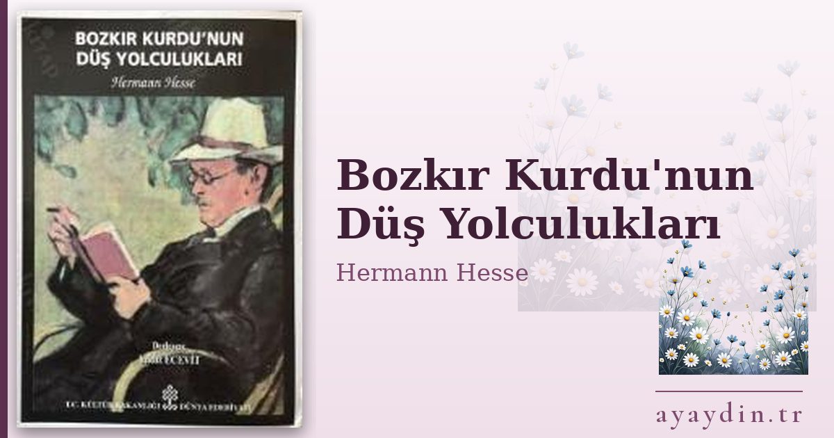 Bozkır Kurdu'nun Düş Yolculukları - Hermann Hesse kitap alıntıları ve sözleri
