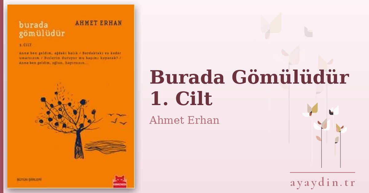 Burada Gömülüdür 1. Cilt - Ahmet Erhan kitap alıntıları ve sözleri