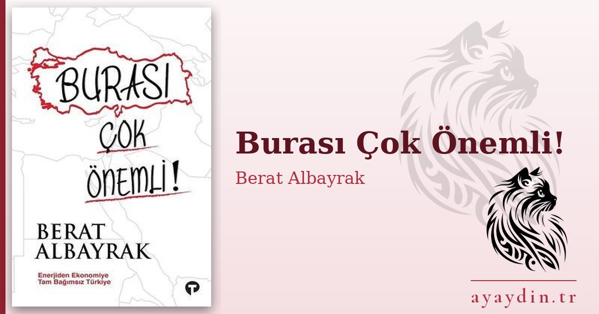 Burası Çok Önemli! - Berat Albayrak kitap alıntıları ve sözleri