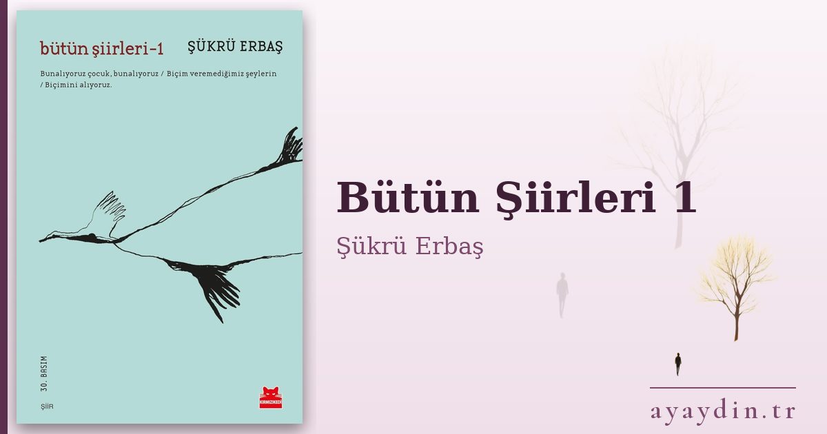 Bütün Şiirleri 1 - Şükrü Erbaş kitap alıntıları ve sözleri