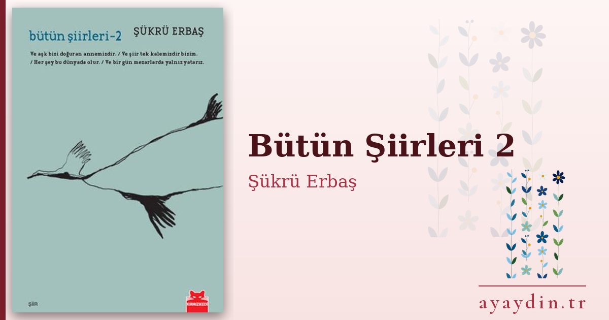 Bütün Şiirleri 2 - Şükrü Erbaş kitap alıntıları ve sözleri