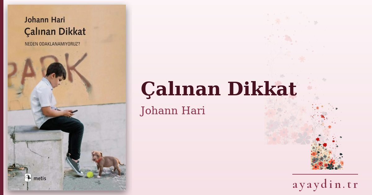 Çalınan Dikkat - Johann Hari kitap alıntıları ve sözleri