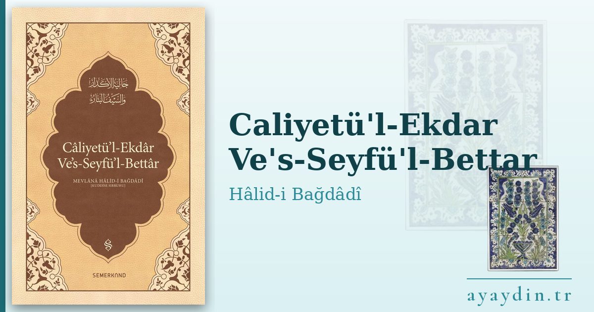 Caliyetü'l-Ekdar Ve's-Seyfü'l-Bettar - Hâlid-i Bağdâdî kitap alıntıları ve sözleri