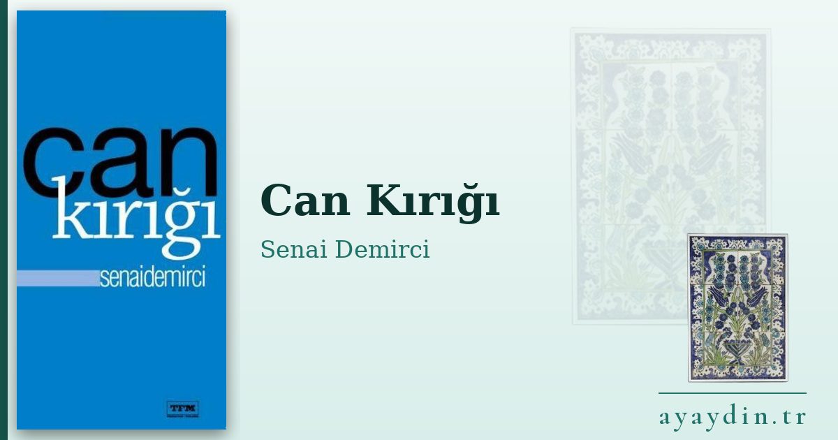Can Kırığı - Senai Demirci kitap alıntıları ve sözleri