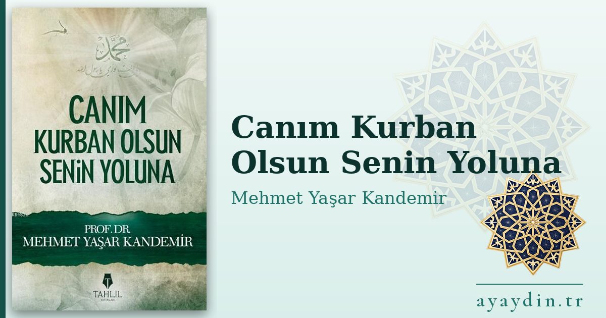 Canım Kurban Olsun Senin Yoluna - Mehmet Yaşar Kandemir kitap alıntıları ve sözleri