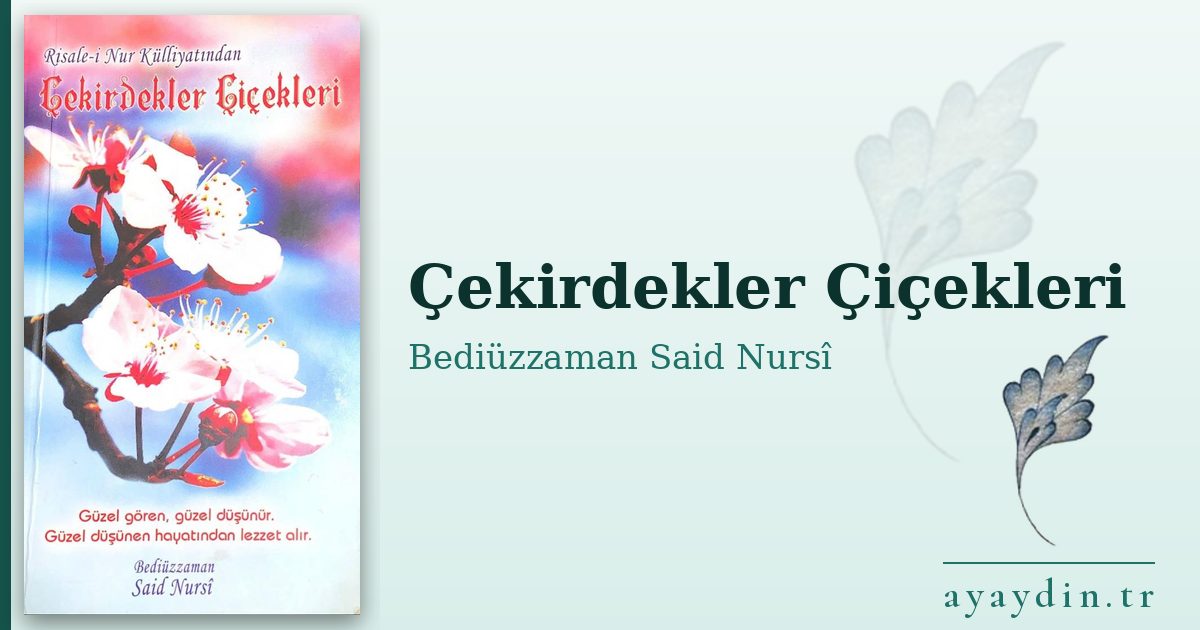 Çekirdekler Çiçekleri - Bediüzzaman Said Nursî kitap alıntıları ve sözleri