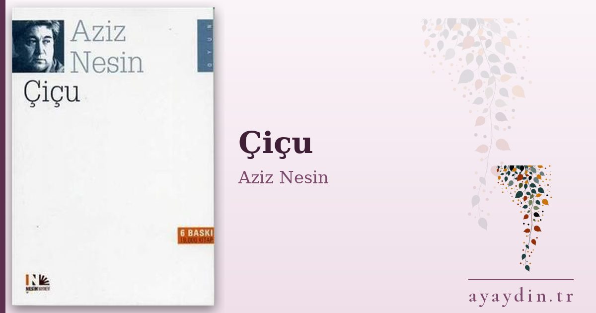 Çiçu - Aziz Nesin kitap alıntıları ve sözleri