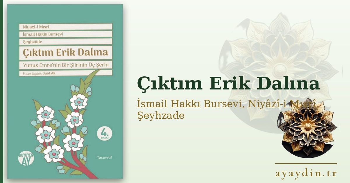 Çıktım Erik Dalına - İsmail Hakkı Bursevi, Niyâzî-i Mısrî, Şeyhzade kitap alıntıları ve sözleri