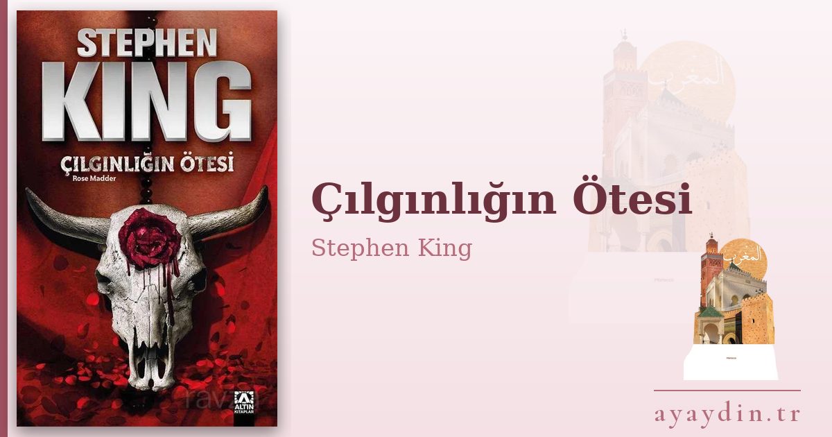 Çılgınlığın Ötesi - Stephen King kitap alıntıları ve sözleri