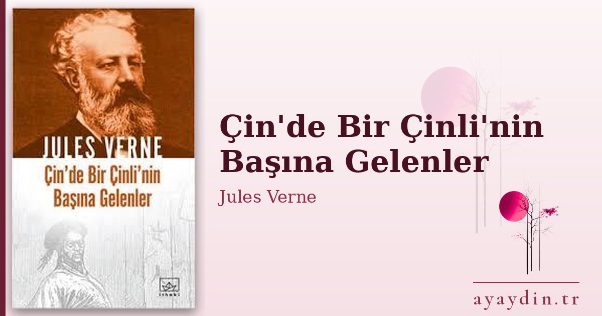 Çin'de Bir Çinli'nin Başına Gelenler - Jules Verne kitap alıntıları ve sözleri