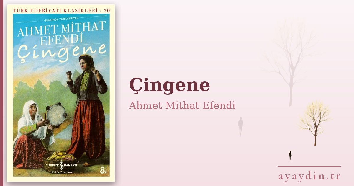 Çingene - Ahmet Mithat Efendi kitap alıntıları ve sözleri