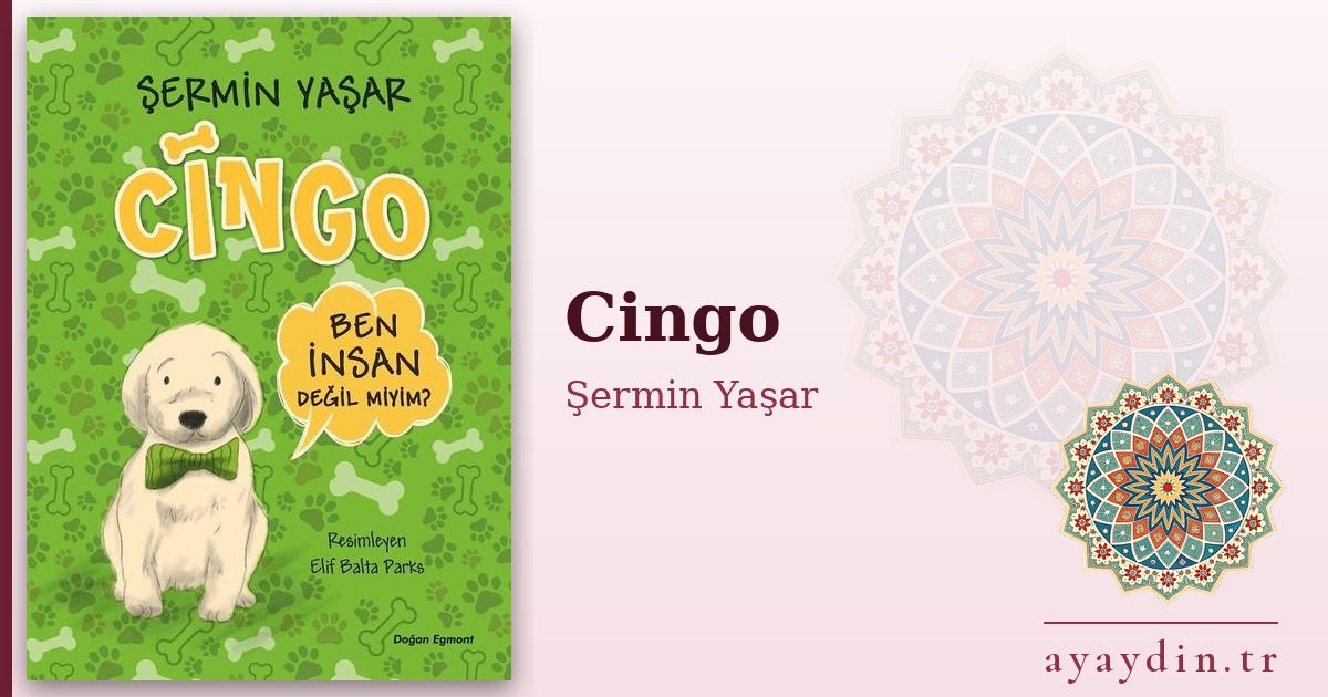 Cingo - Şermin Yaşar kitap alıntıları ve sözleri