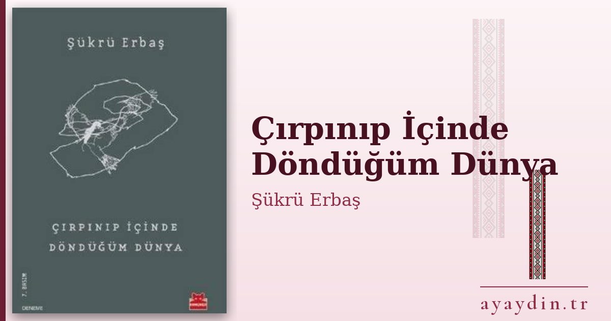 Çırpınıp İçinde Döndüğüm Dünya - Şükrü Erbaş kitap alıntıları ve sözleri