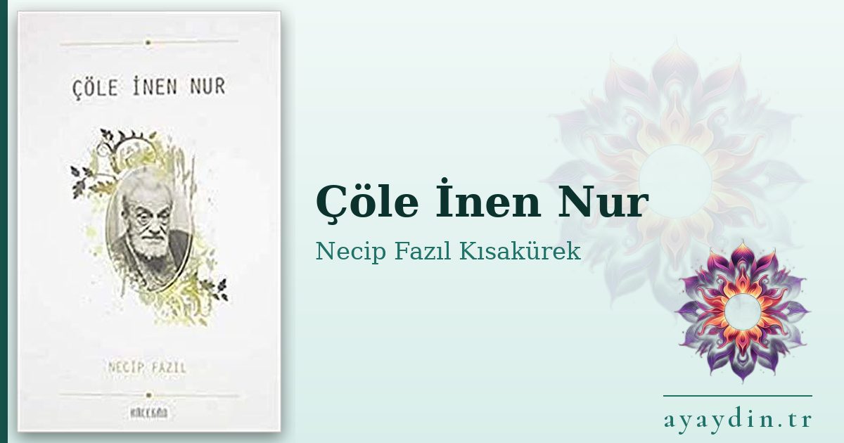 Çöle İnen Nur - Necip Fazıl Kısakürek kitap alıntıları ve sözleri