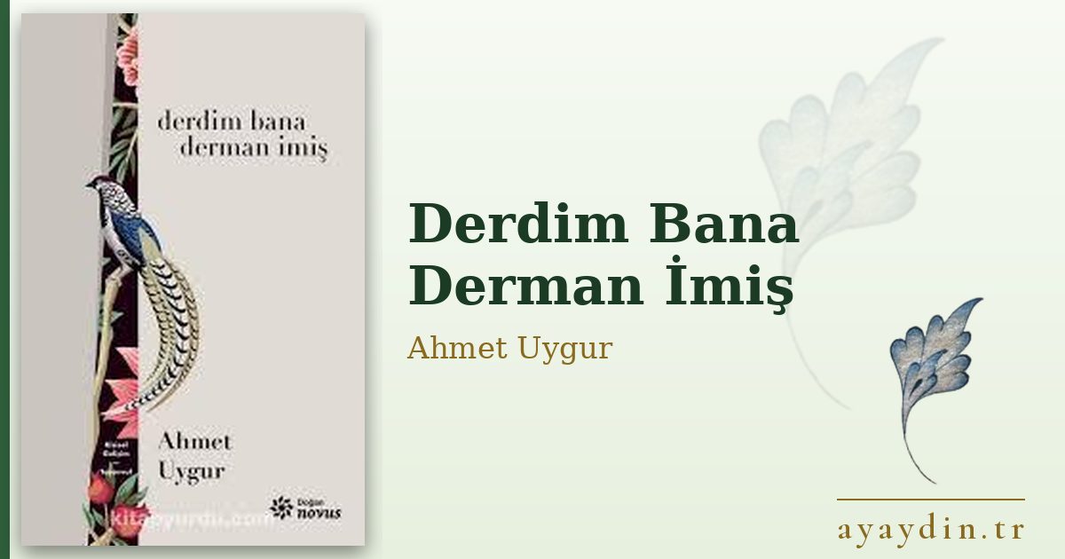 Derdim Bana Derman İmiş - Ahmet Uygur kitap alıntıları ve sözleri