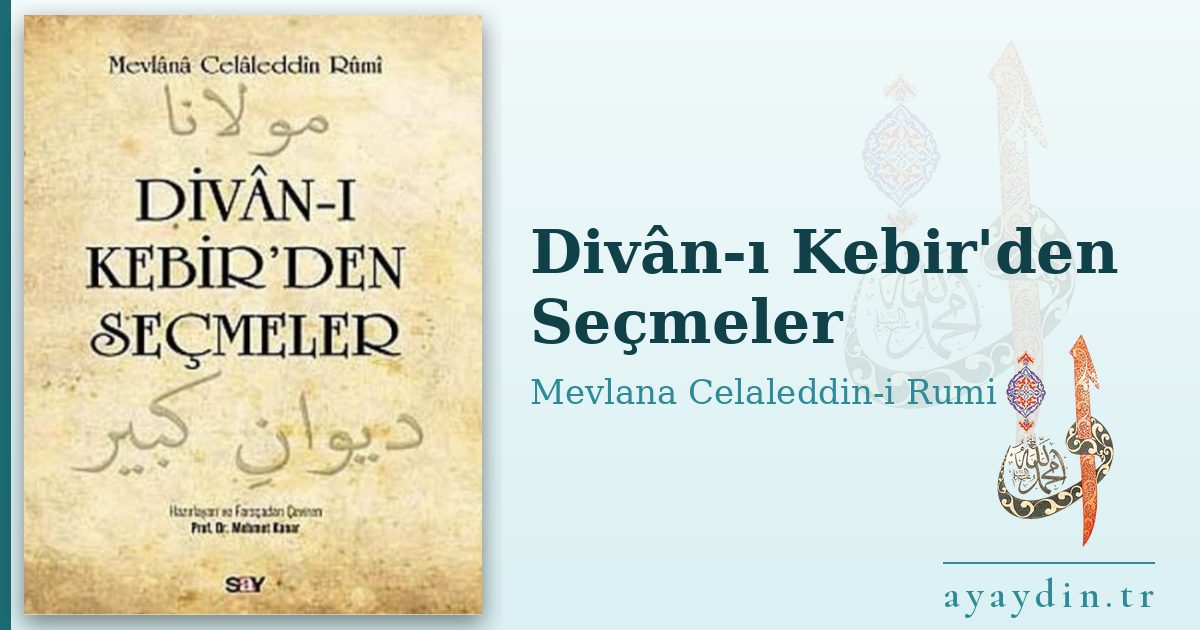 Divân-ı Kebir'den Seçmeler - Mevlana Celaleddin-i Rumi kitap alıntıları ve sözleri