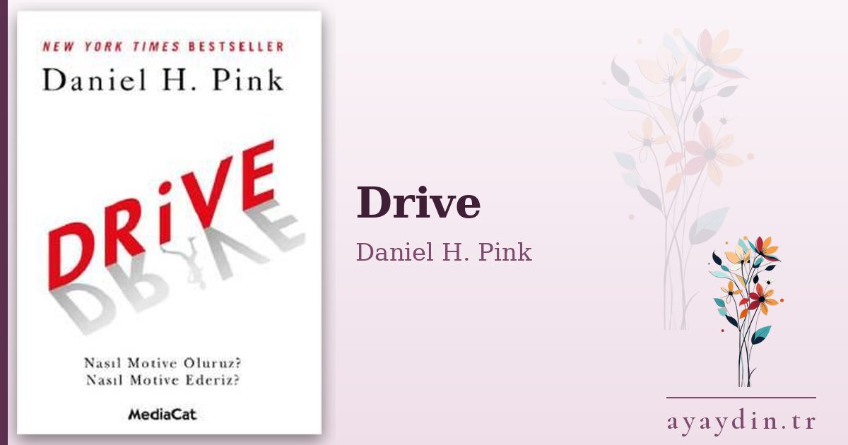 Drive - Daniel H. Pink kitap alıntıları ve sözleri