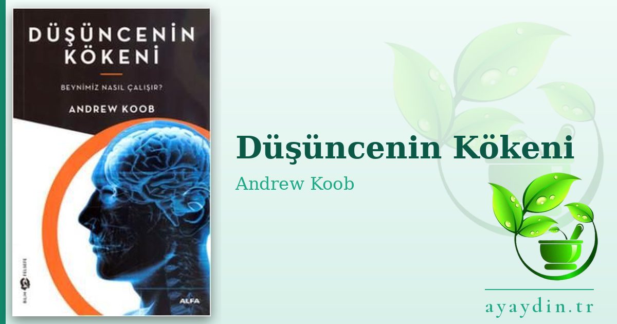 Düşüncenin Kökeni - Andrew Koob kitap alıntıları ve sözleri