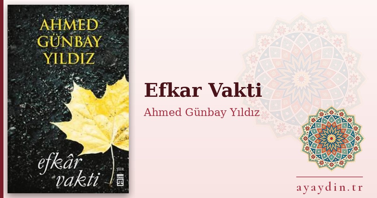 Efkar Vakti - Ahmed Günbay Yıldız kitap alıntıları ve sözleri