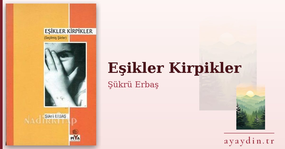 Eşikler Kirpikler - Şükrü Erbaş kitap alıntıları ve sözleri