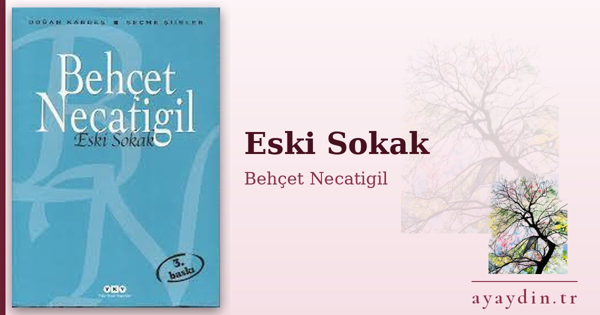 Eski Sokak - Behçet Necatigil kitap alıntıları ve sözleri
