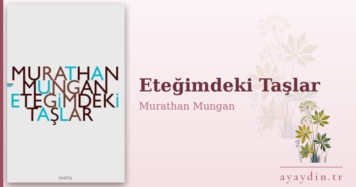 Eteğimdeki Taşlar - Murathan Mungan kitap alıntıları ve sözleri