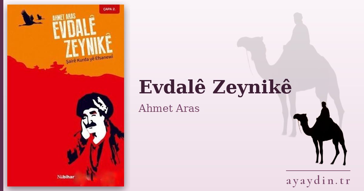 Evdalê Zeynikê - Ahmet Aras kitap alıntıları ve sözleri