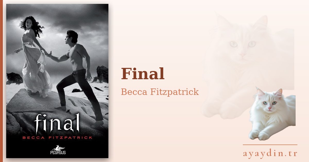 Final - Becca Fitzpatrick kitap alıntıları ve sözleri