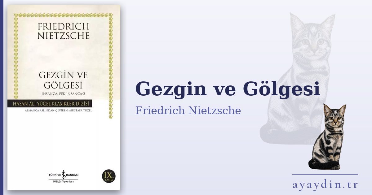 Gezgin ve Gölgesi - Friedrich Nietzsche kitap alıntıları ve sözleri