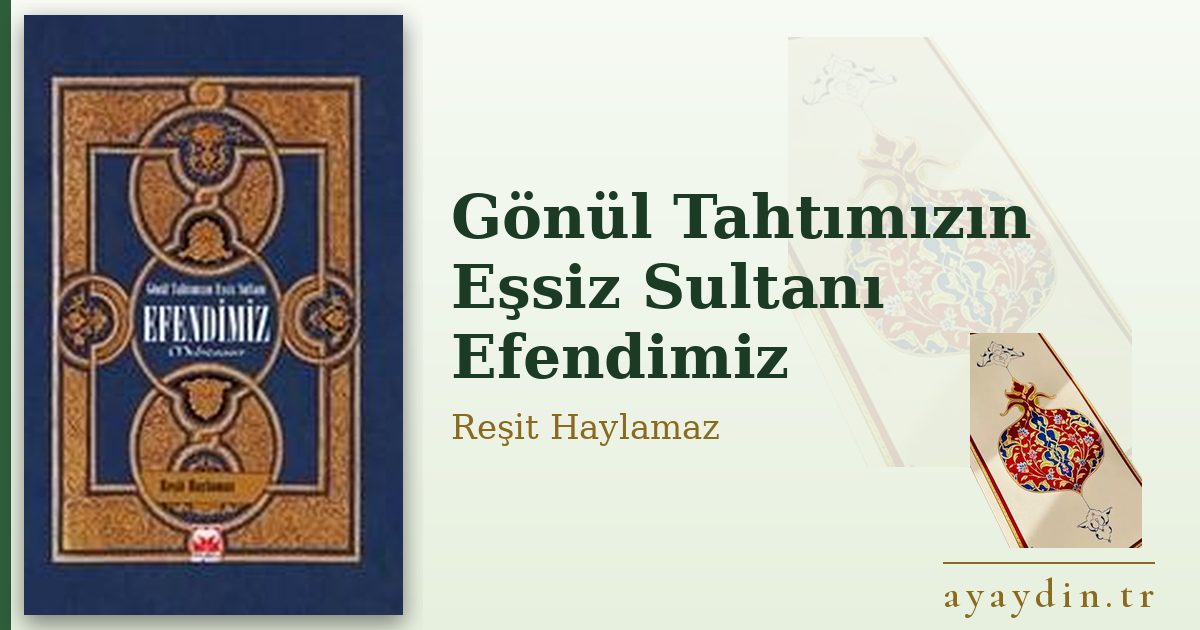 Gönül Tahtımızın Eşsiz Sultanı Efendimiz - Reşit Haylamaz kitap alıntıları ve sözleri